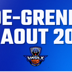VIDE-GRENIER VAULX BASKET CLUB